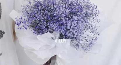 茶花摘心打顶的时间和方法（让茶花更美丽的关键步骤）-第3张图片-绿意生活