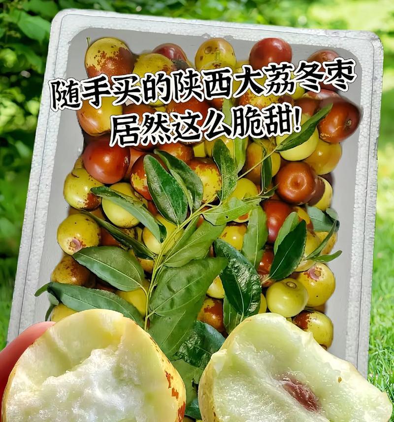 冬枣的最佳食用季节（寻味冬季的鲜美滋味）-第1张图片-绿意生活