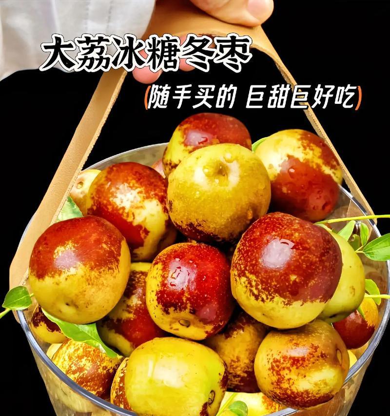 冬枣的最佳食用季节（寻味冬季的鲜美滋味）-第2张图片-绿意生活