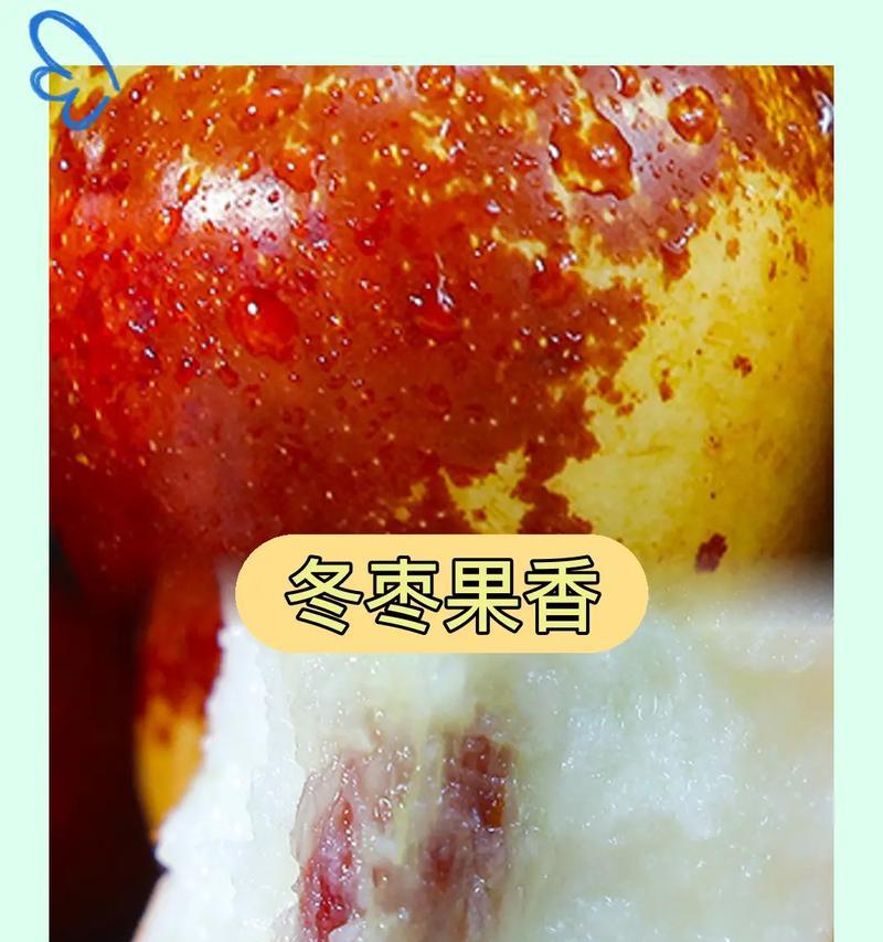 冬枣的最佳食用季节（寻味冬季的鲜美滋味）-第3张图片-绿意生活
