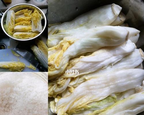 如何洗白菜才能保证干净卫生？（白菜洗涤小技巧，让你吃得放心）-第2张图片-绿意生活