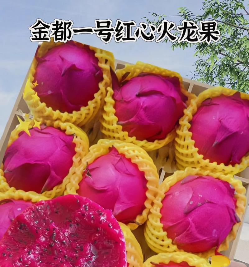 探秘火龙果的故乡（来自南美洲的异域美食）-第2张图片-绿意生活