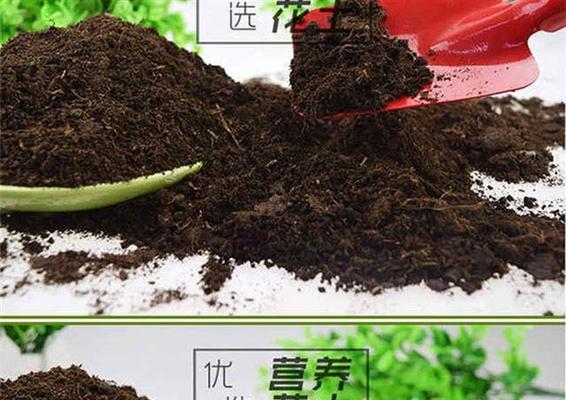 如何给大盆幸福树换土？-第2张图片-绿意生活