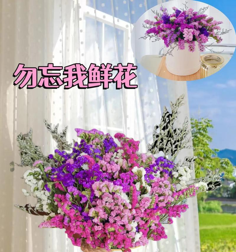 如何保存勿忘我花一年之久（简单方法让你的勿忘我花长时间鲜艳如新）-第2张图片-绿意生活
