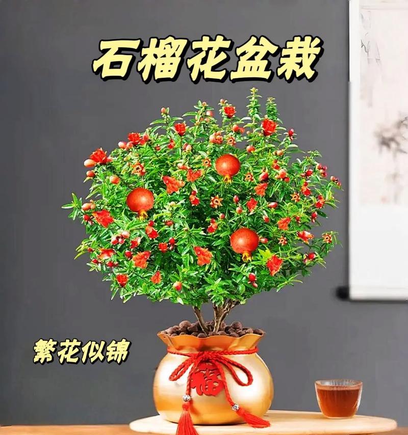 石榴花开的季节与时间（探秘石榴花开花期及鲜花的特点）-第2张图片-绿意生活