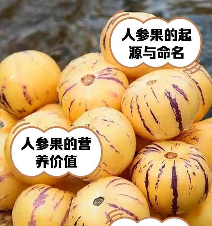 探究人参果是否为多年生植物（人参果的生命周期及特点）-第2张图片-绿意生活