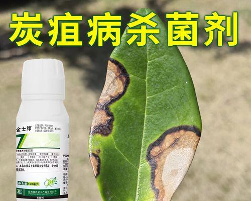 茶花病的救治之道（保护茶花，预防与治疗茶花病的关键方法）-第1张图片-绿意生活