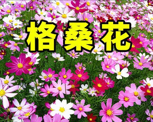 红花草种子的种植方法（从选种到细节，让你轻松种植红花草）-第1张图片-绿意生活
