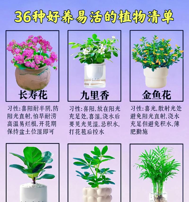 台湾虎皮榕的养护指南（打造健康美丽的台湾虎皮榕，从养护开始）-第3张图片-绿意生活