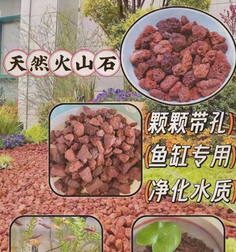 处理烂根土的有效方法（恢复土壤健康，提高植物生长质量）-第1张图片-绿意生活