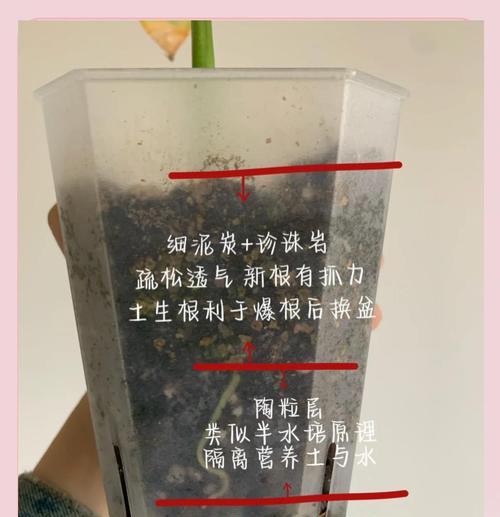 处理烂根土的有效方法（恢复土壤健康，提高植物生长质量）-第3张图片-绿意生活
