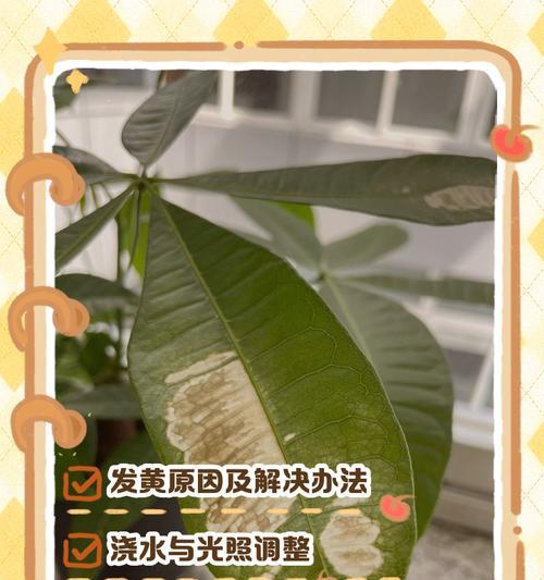 花都黄叶子，如何处理？（保护花叶健康，使花儿更美丽）-第2张图片-绿意生活