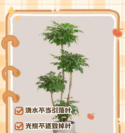 追寻幸福之路——寻找幸福树的旅程（探索自我与自然的和谐之道）-第2张图片-绿意生活