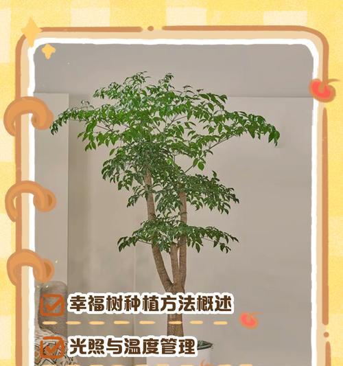 追寻幸福之路——寻找幸福树的旅程（探索自我与自然的和谐之道）-第1张图片-绿意生活