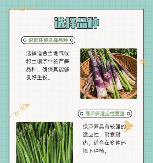 种植芦笋根的技巧和时间（从选地到收获，让你轻松掌握芦笋根种植的秘密）-第2张图片-绿意生活
