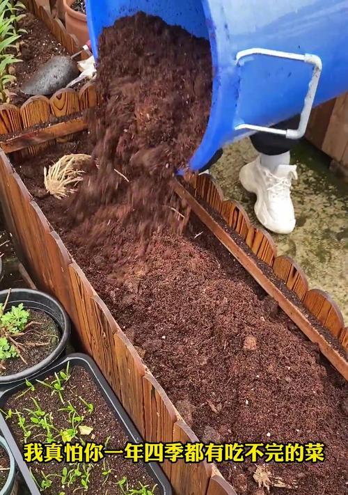 种植芦笋根的技巧和时间（从选地到收获，让你轻松掌握芦笋根种植的秘密）-第3张图片-绿意生活