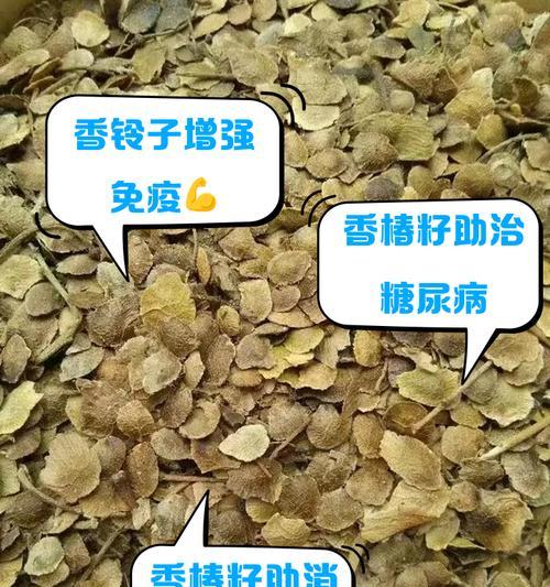 香椿树的种子收取与利用方法（探索香椿树的种子收取技巧及其价值）-第2张图片-绿意生活