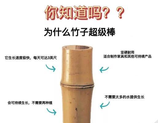 竹子为何会发出臭味？（探究竹子发臭的原因及相关解决方案）-第2张图片-绿意生活
