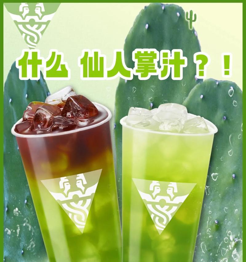 仙人掌如何从水中生长（水是仙人掌生长的关键）-第2张图片-绿意生活