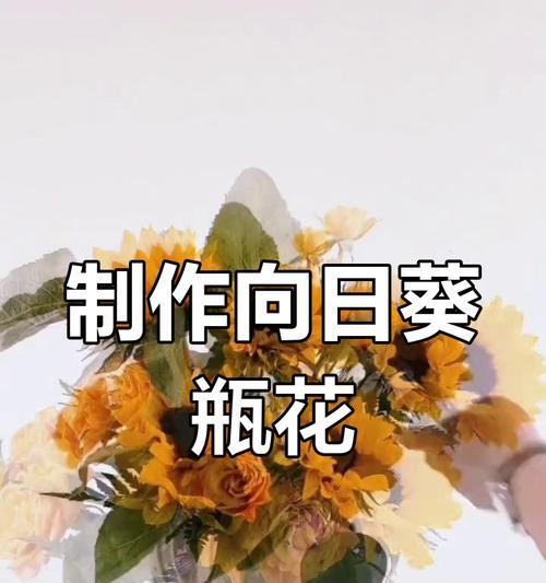 向日葵扦插养护全指南（了解如何正确扦插和照料向日葵，让其茁壮成长）-第2张图片-绿意生活