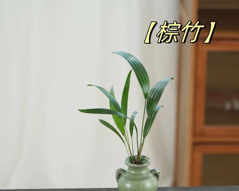 棕竹叶子发黄的原因及处理方法（了解棕竹叶子发黄的原因并采取适当措施加以修复）-第1张图片-绿意生活
