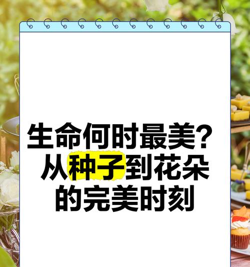 种子的奇妙变化（探索种子的生长过程及其关键因素）-第1张图片-绿意生活