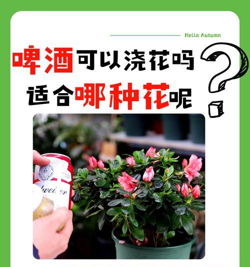 绿茶不仅可以饮用，还可以用来浇花？（绿茶浇花的方法、功效和注意事项）-第3张图片-绿意生活