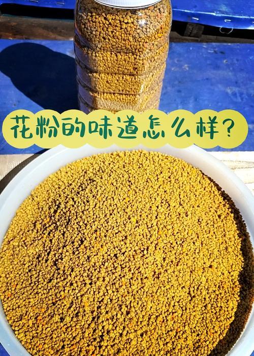 雄花粉传粉的奇妙过程（揭秘雄花粉如何完成传粉的关键环节）-第1张图片-绿意生活