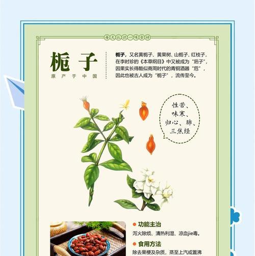 栀子花虫害防治方法及技巧（栀子花虫害的症状及防治要点）-第1张图片-绿意生活
