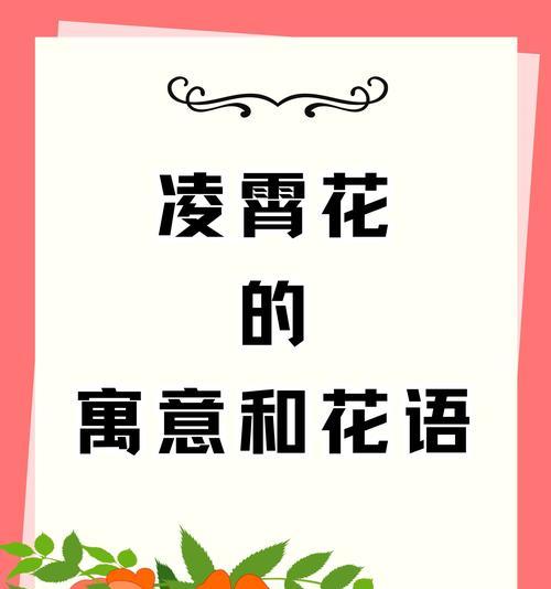 诚信之花——鸢尾花的花语（探寻鸢尾花的花语与诚信主题的联系）-第2张图片-绿意生活
