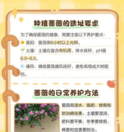 蔷薇花花谢后的养护方法（花谢后该如何处理？15个方法助你让蔷薇重放芳华）-第3张图片-绿意生活
