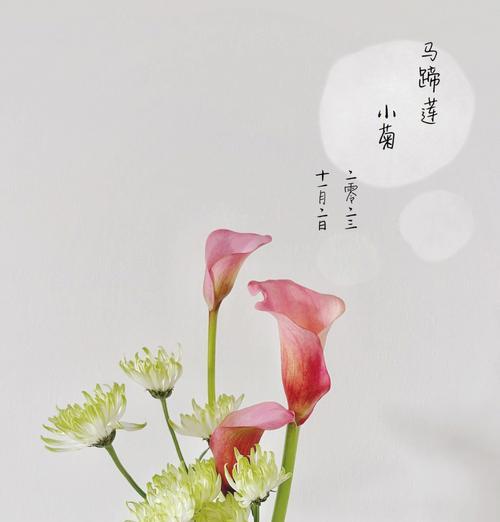 黄花马蹄莲的冬季养护指南（让你的黄花马蹄莲在严寒的冬季中绽放光彩）-第3张图片-绿意生活