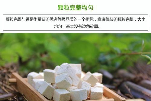 罗勒叶，一种神奇的草药（探寻罗勒叶的功效与食用方法）-第1张图片-绿意生活