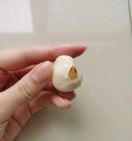 郁金香生虫问题的治理方法（有效防治郁金香生虫，保护花卉健康生长）-第1张图片-绿意生活