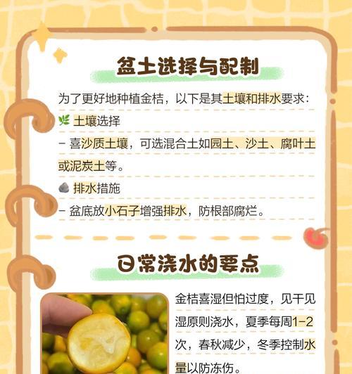 冬季金桔树养护指南（打造健康的金桔树，享受冬日芬芳）-第1张图片-绿意生活