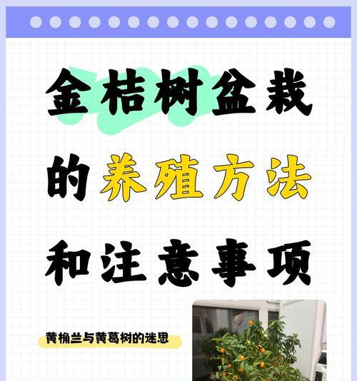冬季金桔树养护指南（打造健康的金桔树，享受冬日芬芳）-第2张图片-绿意生活