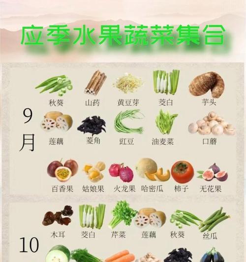 十二月种蔬菜指南（冬季蔬菜种植技巧，让你在十二月丰收）-第2张图片-绿意生活