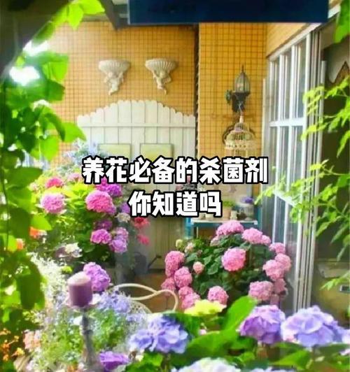 多菌灵在番红花灌根中的应用（提高番红花幼苗生长质量的关键-多菌灵）-第3张图片-绿意生活