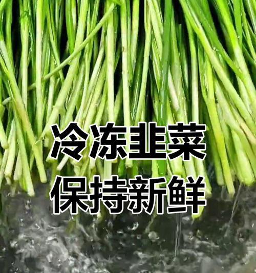 韭菜的冬季养护方法（让韭菜越冬更健康）-第2张图片-绿意生活