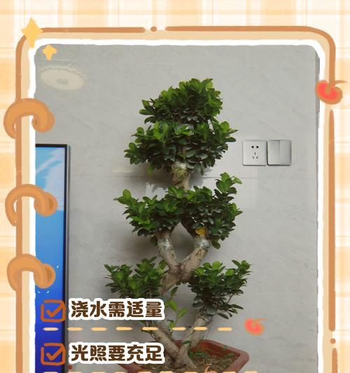 八千代叶子一碰就掉，解决方法大揭秘！（保护叶子健康，轻松应对掉叶问题）-第3张图片-绿意生活