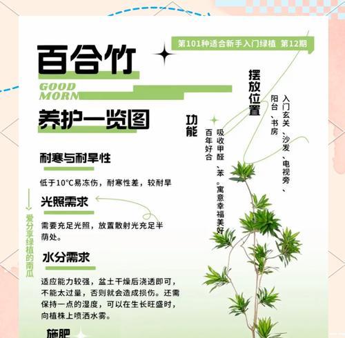 以莲花竹水养的繁殖技巧（如何利用水养法繁殖莲花竹）-第1张图片-绿意生活