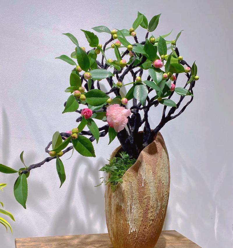 千里香茶花的养殖技巧（打造美丽花园，从千里香茶花开始）-第2张图片-绿意生活