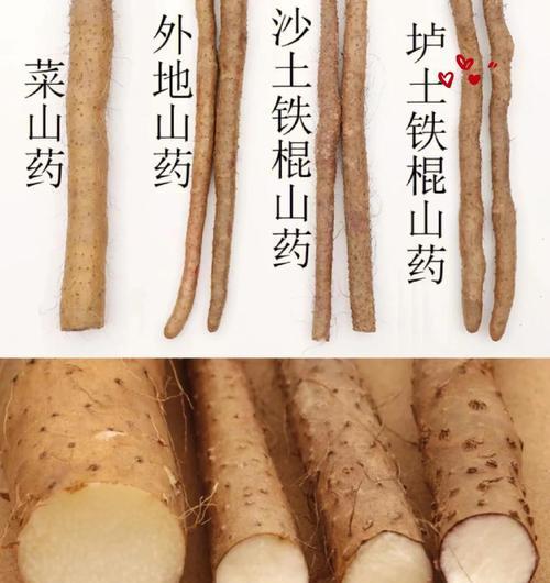 铁棍山药的去皮方法（探究铁棍山药的食用方式及功效）-第2张图片-绿意生活