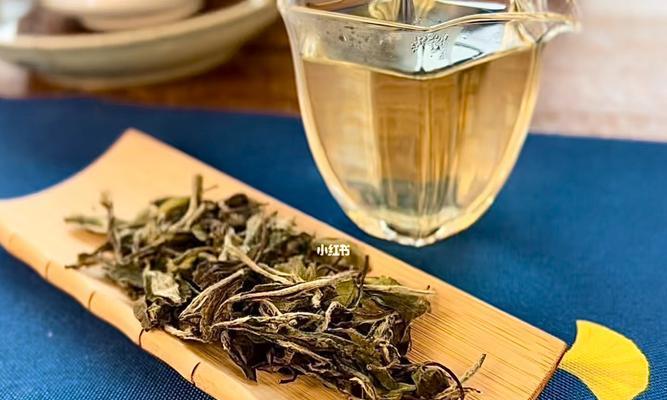 白牡丹养殖指南（打造白牡丹园林，享受花海盛宴）-第2张图片-绿意生活