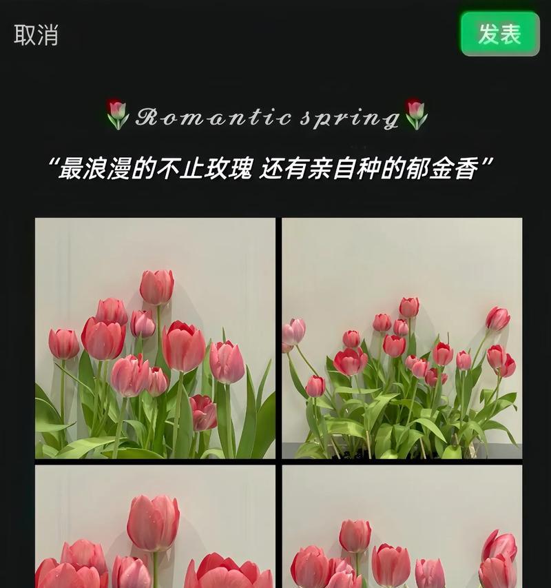 以郁金香怎么水养（掌握郁金香水养技巧，让花开得更美）-第3张图片-绿意生活
