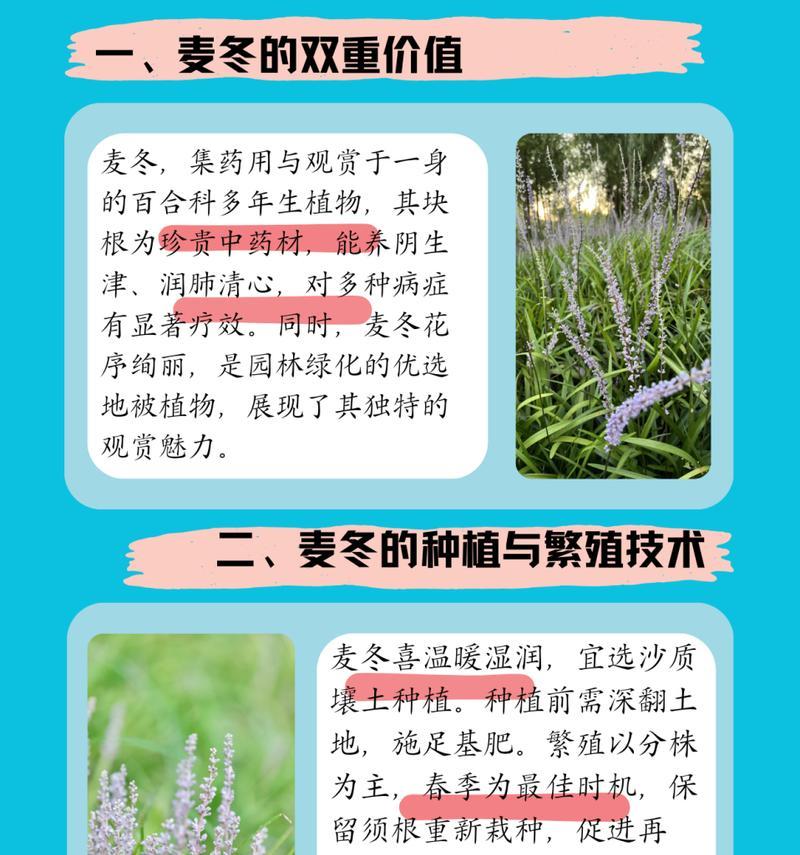 冬季植物保护与管理（以何种植物为主，如何过冬？）-第1张图片-绿意生活