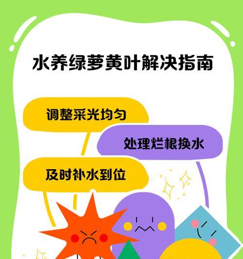 绿萝老叶子发黄怎么办？（解决方法让您的绿萝重现生机）-第2张图片-绿意生活