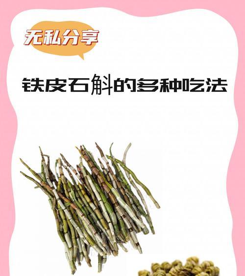 石斛种植详解（从养殖方法到养护要点，一网打尽！）-第1张图片-绿意生活