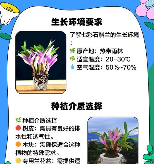 石斛种植详解（从养殖方法到养护要点，一网打尽！）-第3张图片-绿意生活