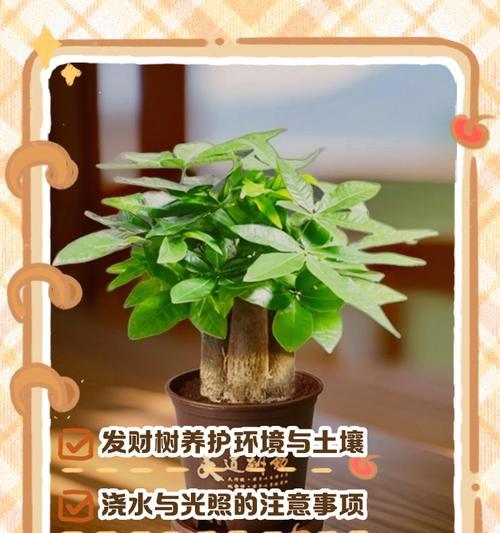 如何让发财树结果子？（掌握这些养护技巧，让你的发财树结果丰硕！）-第2张图片-绿意生活